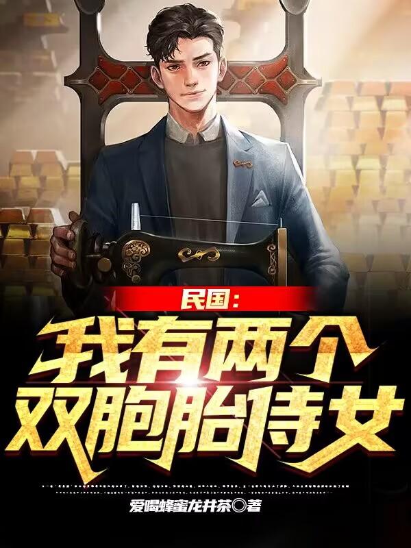 民国:我有两个双胞胎侍女