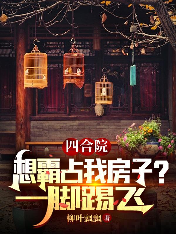 四合院：想霸占我房子？一脚踢飞