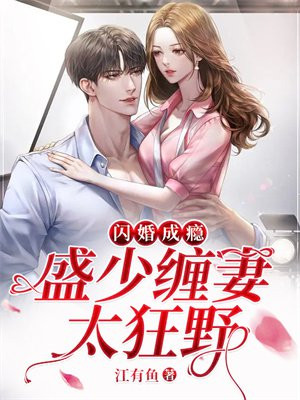 闪婚成瘾:盛少缠妻太狂野