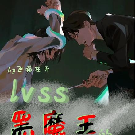 lvss：黑魔王的第八魂器全本阅读