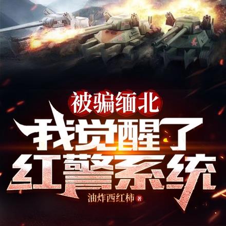被骗缅北:我觉醒了红警系统