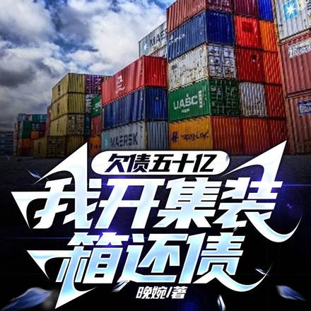 欠债五十亿，我开集装箱还债