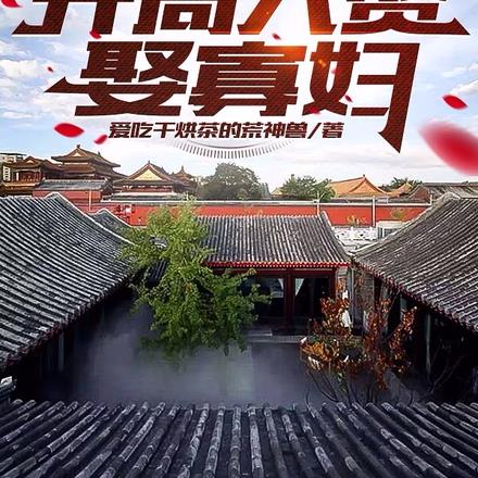 穿越四合院,开局入赘娶寡妇
