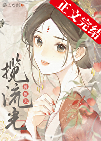 揽流光