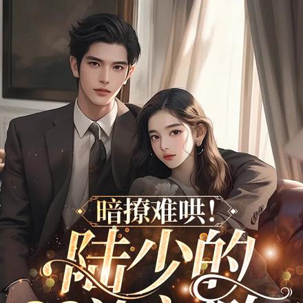 暗撩难哄!陆少的99次初吻