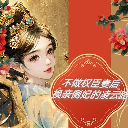 不做权臣妻后，换亲侧妃的凌云路