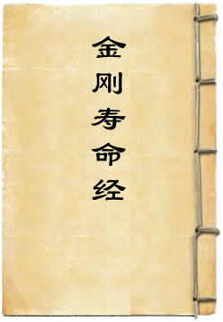 金刚寿命经By{author}