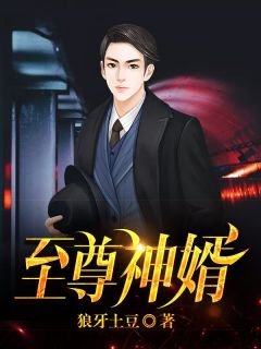 至尊神婿By{author}