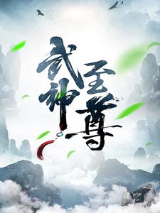 武神至尊叶风,叶紫灵无错小说