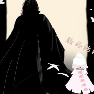 【HP】让光之子更加伟大
