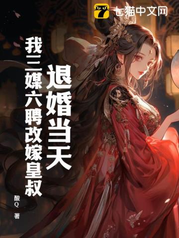 退婚当天,我三媒六聘改嫁皇叔