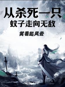 从杀死一只蚊子走向无敌 By{author}