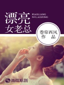 漂亮女老总全本阅读