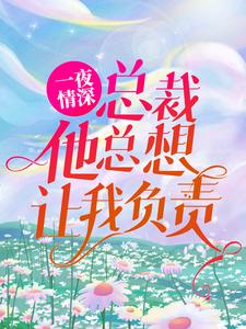 一夜情深：总裁他总想让我负责全文