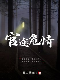 官途危情巴山破晓小说792章