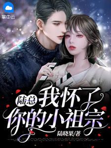 陆总，我怀了你的小祖宗By{author}