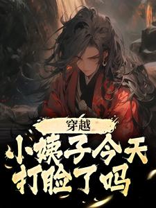 穿越：小姨子今天打脸了吗By{author}