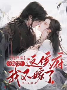 娶外室，夺嫁妆？这侯府我不嫁了 By{author}