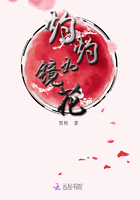 灼灼如镜花By{author}