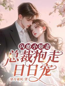 闪婚成宠，老公夜夜哄全本阅读