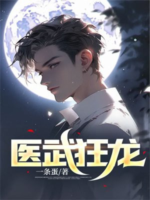 医武狂龙04