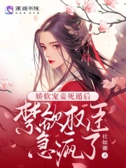 娇软宠妾死遁后，禁欲权臣急疯了By{author}