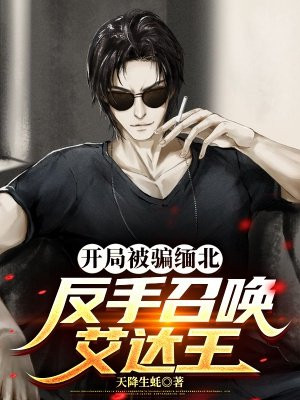 开局被骗缅北,反手召唤艾达王