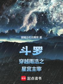 斗罗:穿越雨浩之星宫主宰